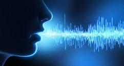 Using the Voice in Sound Healing